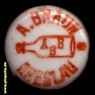 Obraz porcelany z: Breslau, A. Braun,  PL, unbekannt, Polska