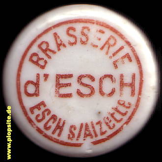 Bügelverschluss aus: Brasserie, Esch - sur - Alzette, Esch/Uelzecht, Esch/Eltz, Luxemburg