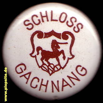 Bügelverschluss aus: Gachnang Schloß,  CH, unbekannt, Schweiz